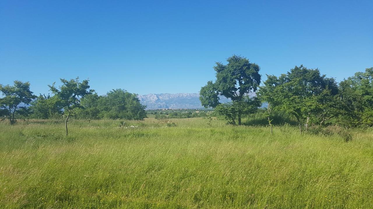 Savrsen Odmor U Villa Ivona Zadar Bagian luar foto